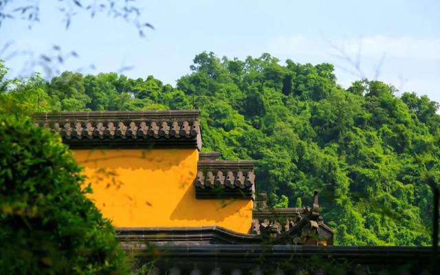 拜佛”的年轻人究竟是在求什么？开元棋牌app那些热衷于“烧香(图4)