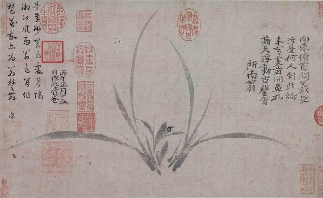 花帖》宋代《幽谷图》再现江南开元棋牌一周观展｜五代《韭(图13)